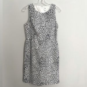 J. Crew Shift Dress | Dalmatian Print